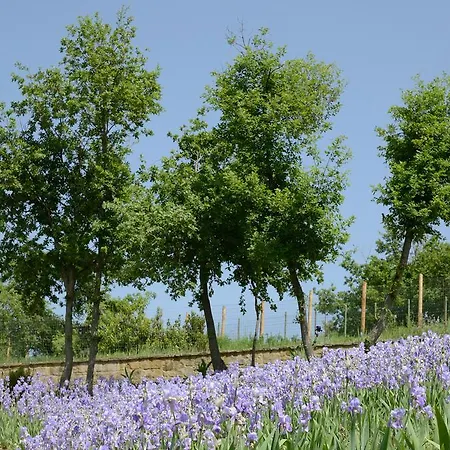 Agriturismo Iris